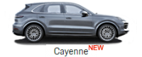 cayenne_new-226x91